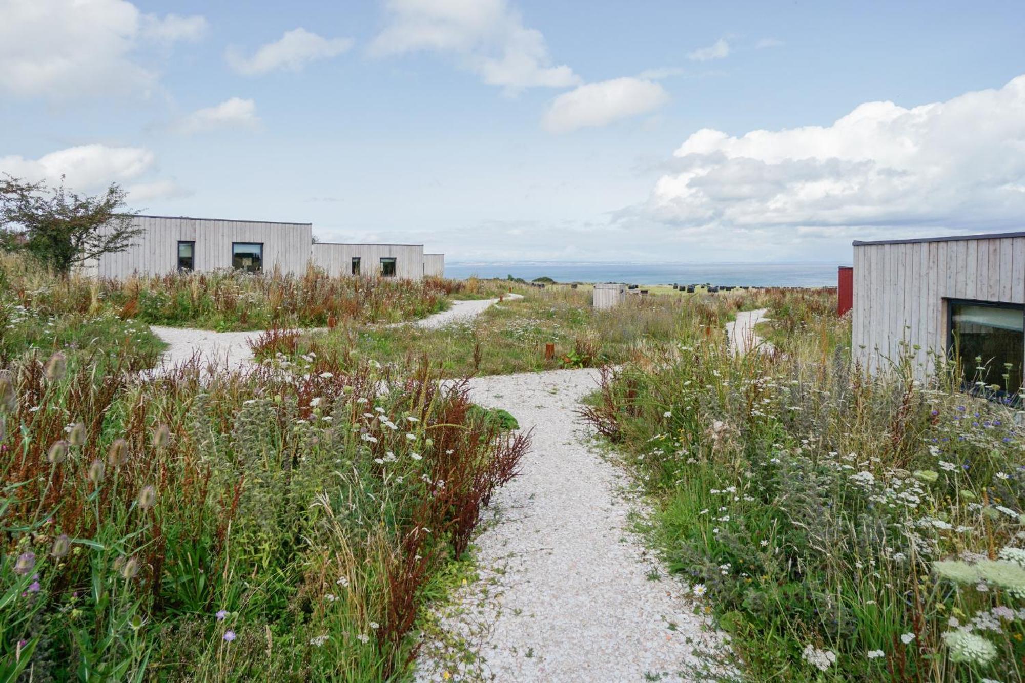 Rustic Cabins, Sea Views From Rewilded Farm With Highland Cows St Andrews Eksteriør billede